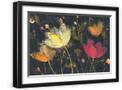 Black Frame