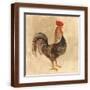 Brown Frame
