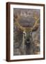 Brown Frame