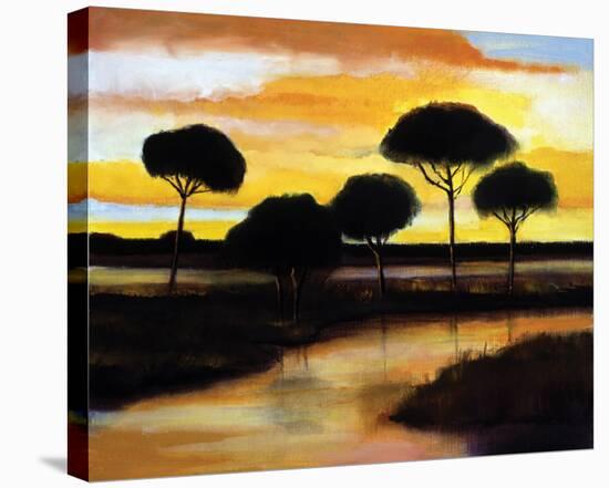 Alberi di Pisa at Sunset-Judith D'Agostino-Stretched Canvas