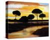 Alberi di Pisa at Sunset-Judith D'Agostino-Stretched Canvas