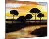 Alberi di Pisa at Sunset-Judith D'Agostino-Mounted Art Print