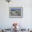 Alberobello, Typical Houses, Apulia (Puglia), Italy-Bruno Morandi-Framed Photographic Print displayed on a wall