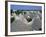 Alberobello, Typical Houses, Apulia (Puglia), Italy-Bruno Morandi-Framed Photographic Print