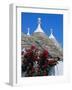 Alberobello, Typical Houses, Apulia (Puglia), Italy-Bruno Morandi-Framed Photographic Print