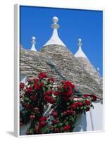 Alberobello, Typical Houses, Apulia (Puglia), Italy-Bruno Morandi-Framed Photographic Print