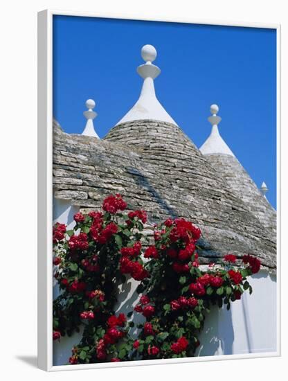 Alberobello, Typical Houses, Apulia (Puglia), Italy-Bruno Morandi-Framed Photographic Print