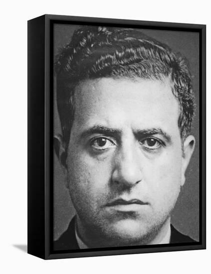 Albert Anastasia (1902-57)-American Photographer-Framed Stretched Canvas