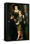 Albert and Nicholas-Peter Paul Rubens-Framed Stretched Canvas