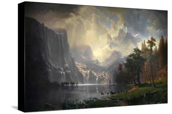 Stretched Canvas Print, , large