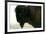 Albert Bierstadt Buffalo Head-Albert Bierstadt-Framed Art Print