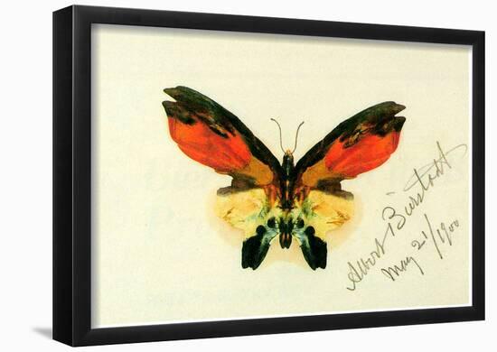 Albert Bierstadt Butterfly 2 Art Print Poster-null-Framed Poster