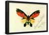 Albert Bierstadt Butterfly 2 Art Print Poster-null-Framed Poster