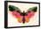 Albert Bierstadt Butterfly Art Print Poster-null-Framed Poster