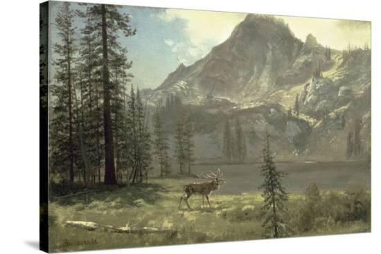 Stretched Canvas Print, , large