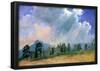 Albert Bierstadt Fir Trees and Storm Clouds Art Print Poster-null-Framed Poster