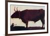 Albert Bierstadt Ox Portrait-Albert Beirstadt-Framed Art Print