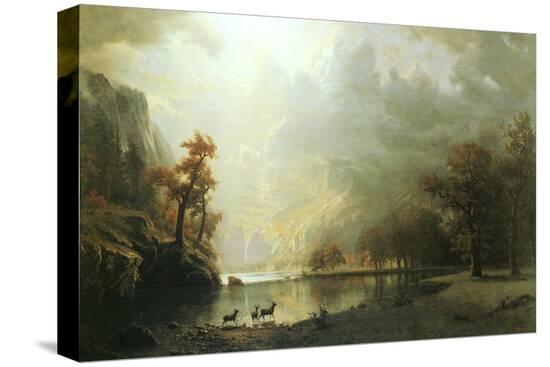 Stretched Canvas Print, , large