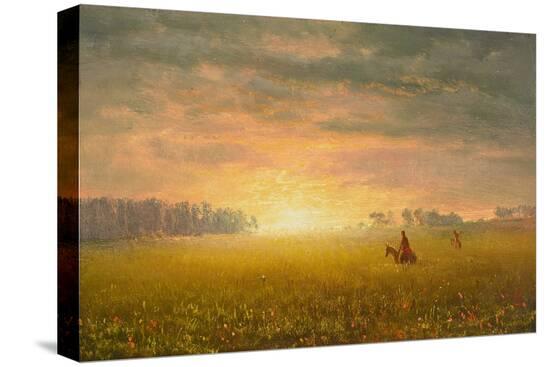 Stretched Canvas Print, , large