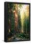 Albert Bierstadt The Big Trees Mariposa Grove California Art Print Poster-null-Framed Poster