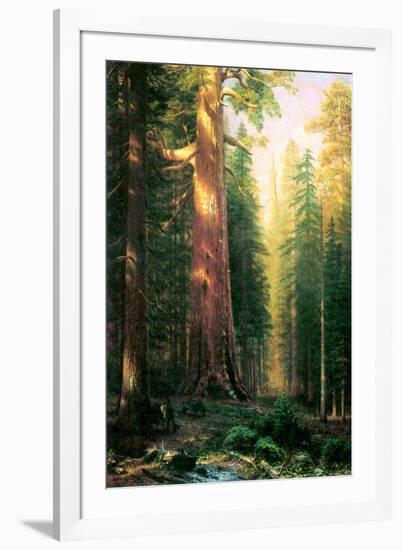 Albert Bierstadt The Big Trees Mariposa Grove California-Albert Bierstadt-Framed Art Print