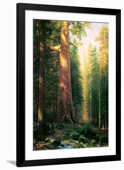 Albert Bierstadt The Big Trees Mariposa Grove California-Albert Bierstadt-Framed Art Print