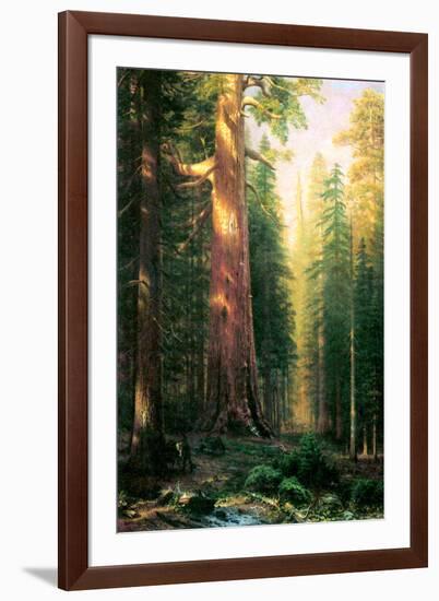 Albert Bierstadt The Big Trees Mariposa Grove California-Albert Bierstadt-Framed Art Print