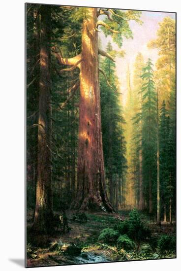 Albert Bierstadt The Big Trees Mariposa Grove California-Albert Bierstadt-Mounted Art Print