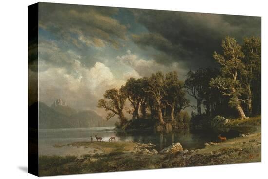 Stretched Canvas Print, , large