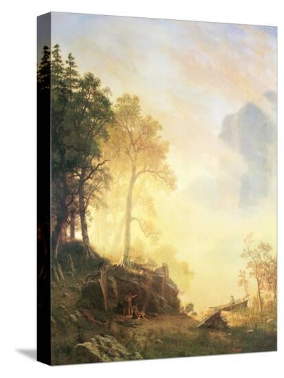 Stretched Canvas Print, , large