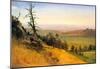 Albert Bierstadt Wasatch Mountains Nebraska Art Print Poster-null-Mounted Poster
