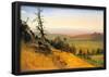 Albert Bierstadt Wasatch Mountains Nebraska Art Print Poster-null-Framed Poster