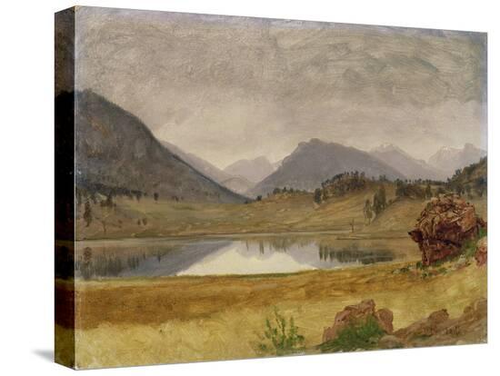 Stretched Canvas Print, , large