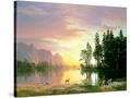Stretched Canvas