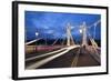 Albert Bridge at Night, Chelsea, London, England, United Kingdom, Europe-Stuart-Framed Photographic Print