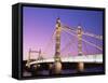 Albert Bridge, Chelsea, London, England-Steve Vidler-Framed Stretched Canvas