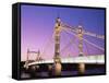 Albert Bridge, Chelsea, London, England-Steve Vidler-Framed Stretched Canvas