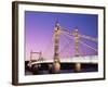 Albert Bridge, Chelsea, London, England-Steve Vidler-Framed Photographic Print