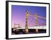 Albert Bridge, Chelsea, London, England-Steve Vidler-Framed Photographic Print