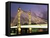 Albert Bridge, London, England, United Kingdom-Nick Wood-Framed Stretched Canvas