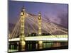 Albert Bridge, London, England, United Kingdom-Nick Wood-Mounted Photographic Print