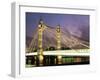 Albert Bridge, London, England, United Kingdom-Nick Wood-Framed Photographic Print