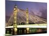 Albert Bridge, London, England, United Kingdom-Nick Wood-Mounted Photographic Print