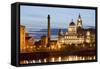 Albert Dock and Port of Liverpool Building-Massimo Borchi-Framed Stretched Canvas