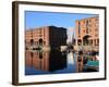 Albert Dock, Liverpool, Merseyside, England, United Kingdom, Europe-Rolf Richardson-Framed Photographic Print