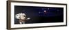 Albert Einstein, Artwork-Friedrich Saurer-Framed Premium Photographic Print