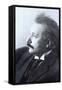 Albert Einstein, German-American Physicist-Science Source-Framed Stretched Canvas