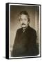 Albert Einstein German Born Physicist Winner of the Nobel Prize for Physics in 1921-null-Framed Stretched Canvas