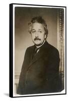 Albert Einstein German Born Physicist Winner of the Nobel Prize for Physics in 1921-null-Framed Stretched Canvas