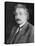 Albert Einstein German Born Physicist-null-Stretched Canvas